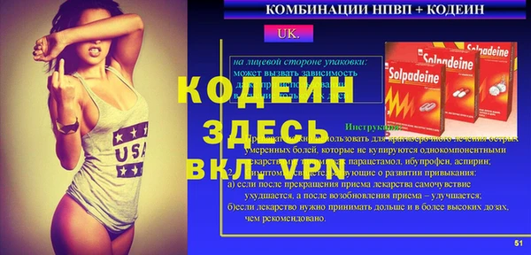 амф Вяземский