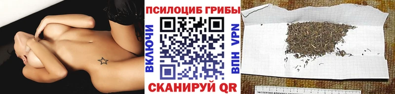 Купить закладки Чёрмоз Псилоцибиновые грибы мухоморы